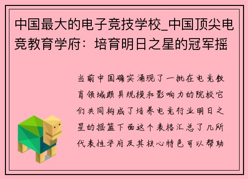 中国最大的电子竞技学校_中国顶尖电竞教育学府：培育明日之星的冠军摇篮